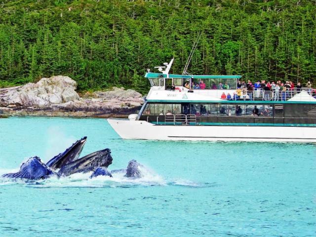 Cruise passengers watch whales breach the surface of the waters of the Inside Passage near Juneau, Alaska.