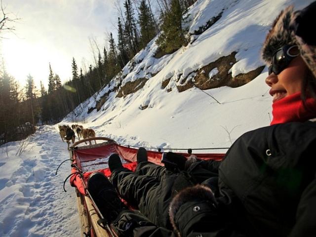 Ever wanted to go dog sledding? This activity is a popular excursion on Alaskan cruises.
